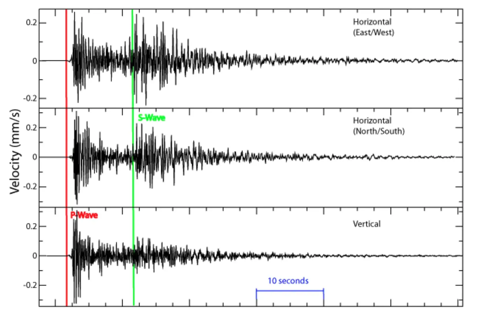 Seismograph chart with P and S waves